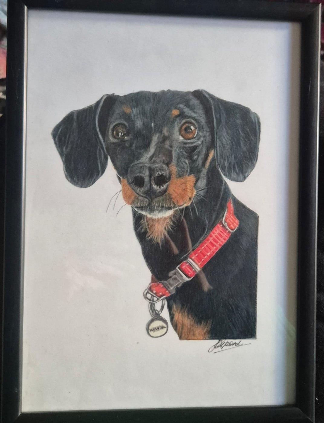 Hannibal the dachshund portrait in a black frame
