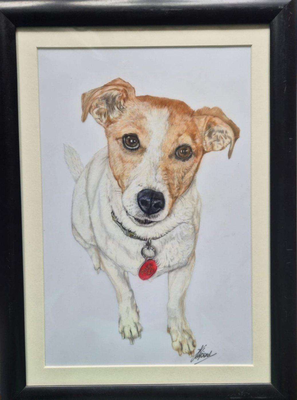 The Jack Russell portrait in a black frame with a cream mount