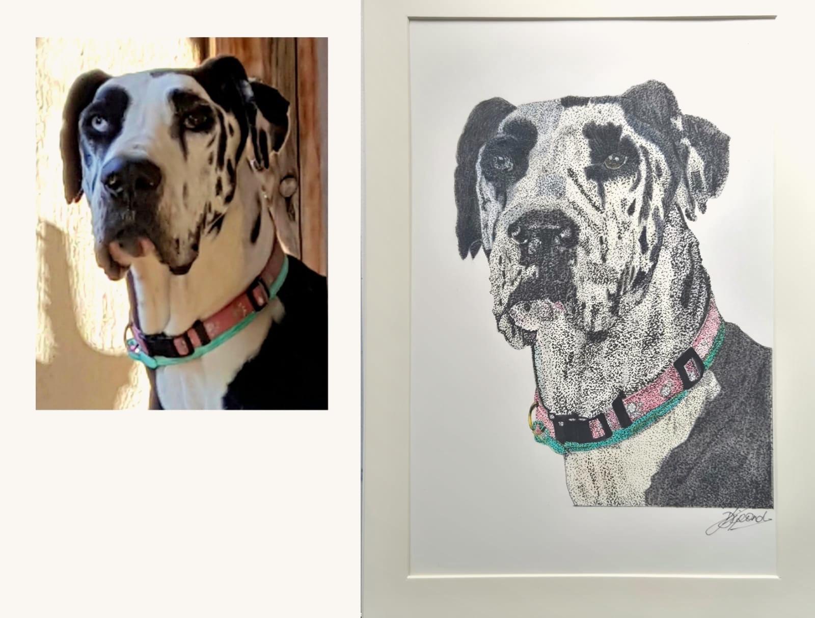 A new technique, Stippling, I have added to my collections and am now taking commissions for.